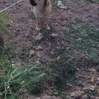 ماده یک سال ونیم خیلی سرحال