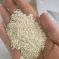 برنج دمسیا2الکه و سورتینگ شده|خوردنی و آشامیدنی|رشت, گلسار|دیوار