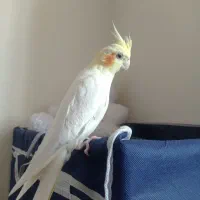 وقت نگه داشتن ندارم