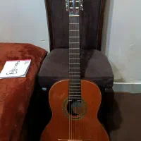 آموزش گیتار (خصوصی) منزل مدرس با پایین ترین هزینه