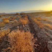 ۵هزارمتر زمین کفترک روستای چاه شیرین