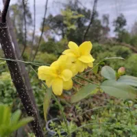 جویای کار آرایشگری هستم