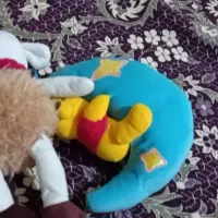 عروسک  پولیشی از 50 تومن تا 1 ملیون|اسباب‌‌بازی|پرند, فاز ۶|دیوار