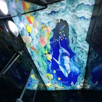 سقف کشسان|خدمات پیشه و مهارت|مشهد, عامل|دیوار