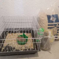 قفس خرگوش، رف اب و غذا و کاه و یونجه