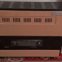 بخاری 10000 سالم