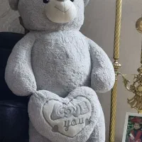 شاسخین
