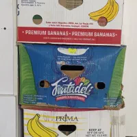 مقداری کارتون موزی