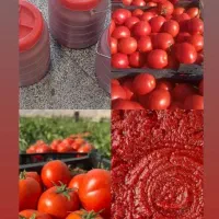 رب خانگی