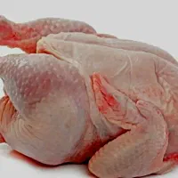 گوشت مرغ و تخم مرغ و خروس محلی