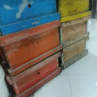 کندو طبق عسل