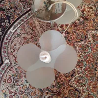 لوستر۲شاخه|لوستر و چراغ آویز|اراک, |دیوار