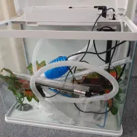 اکواریوم شرکتی ماهیران