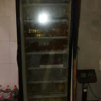 فریزر ایستاده الکترواستیل زیرقیمت شکار