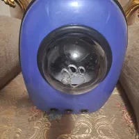 کوله وجای خواب واسکرچر گربه