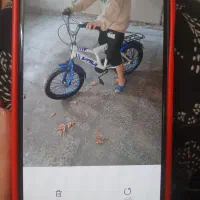 دوچرخه ۱۶ مارک ویوا