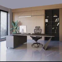 منشی شخصی مدیرعامل