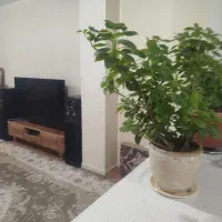 فروش خانه در صباشهر|فروش آپارتمان|صباشهر, |دیوار