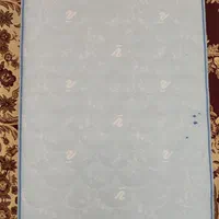 تشک رویا