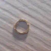 گوشواره گم شده
