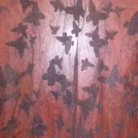 حراج بلوز دخترانه و بادی سبز|حراج|تهران, سازمان برنامه شمالی|دیوار