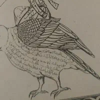 راهنمایی سرکتاب ـ فال و طالع