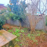 نیم پیلوت حیاط دار با درختان میوه چند ساله|فروش خانه و ویلا|تهران, افسریه شمالی|دیوار