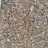 در تناژ بار درختان مرکبات تاثیر بسیار زیادی دارد