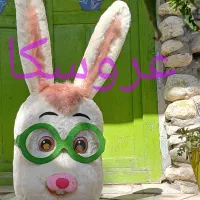 عروسکای نمایشی پوشیدنی
