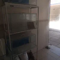 فوری۵۰۰ ت آکواریوم|ماهی|گلپایگان, |دیوار