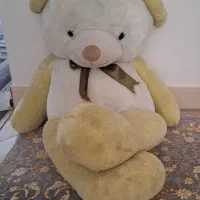 فروش خرس بزرگ نو نو