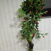 درخت گیلاس مصنوعی فروش توافقی