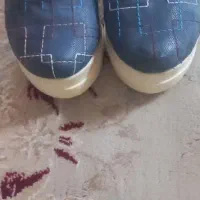 کفش مجلسی
