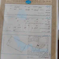 زمین مسکونی