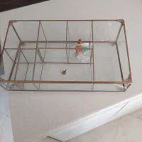 تی بگ جنس برنج وشیشه