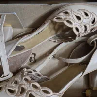 کفش مجلسی|کیف، کفش، کمربند|شاهرود, |دیوار