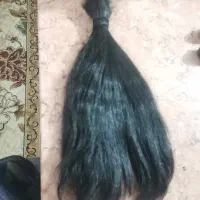 موی مردونه