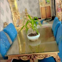 میز ناهارخوری ۴نفره|میز و صندلی غذاخوری|قرچک, میرزائی شمالی|دیوار