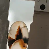 سنگ شجر شجر تک درخت|جواهرات|سلماس, |دیوار