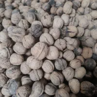 گردو خشک
