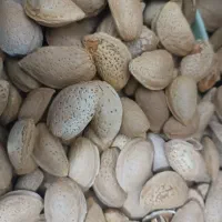 بادام سنگی کیلویی 300