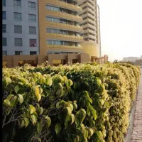 برج طلایی یکخوابه