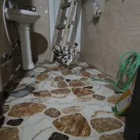 مرغ.خروس