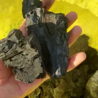 کبابی قلیانی