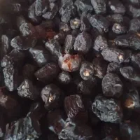 خرید  خورماکده