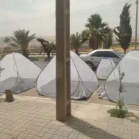 پشه بند