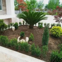 باغبانی سمپاشی گلکاری بیل زدن باغچه هر مناطق مشهد