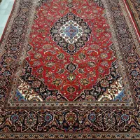 ۶ متری لاکی پشم در حد سلامت