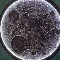 واگذاری کافه و فست فود