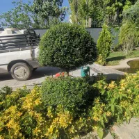 باغبانی هرس چمنکاری سمپاشی اره موتوری قطره ای